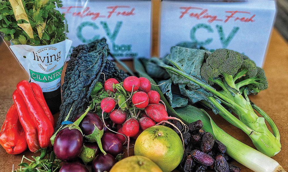 CV HARVEST BOX – Coachella Magazine